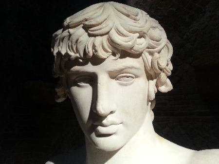 Danno da lesione del diritto all'immagine, alla reputazione, ...