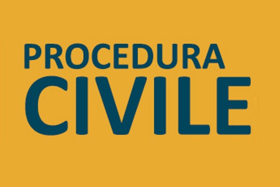Procedimento civile. Giudizio di appello. Inattività delle pa...