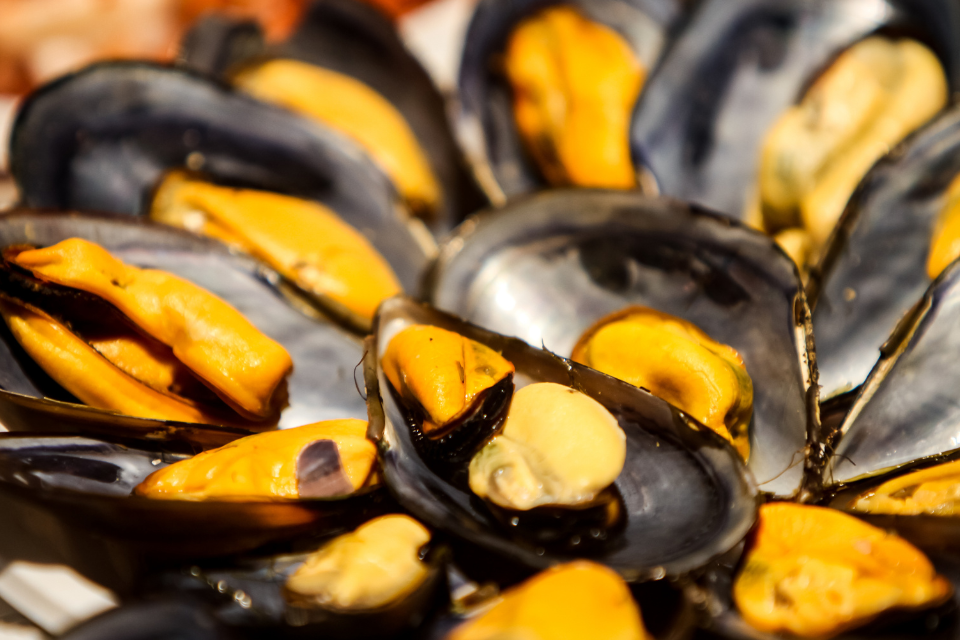 Commercio di cibi nocivi se le cozze sono prelevate dal mar p...