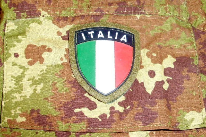 Con l'istituzione del servizio militare professionale realizz...