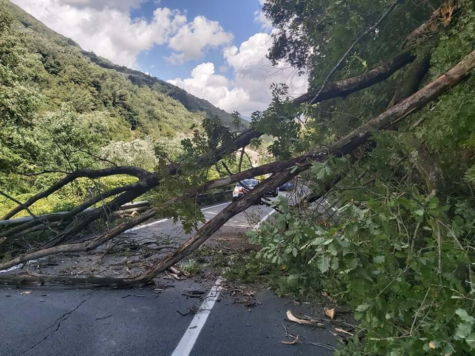 La Corte di Cassazione ha ribadito che non è configurabile la...