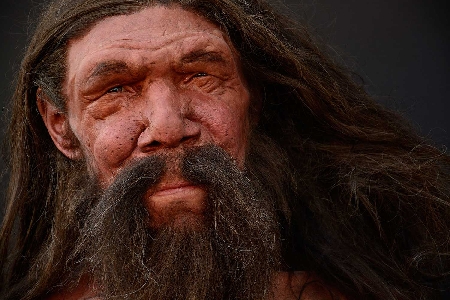 Compensi per il rinvenimento dello scheletro fossile del cd. ...
