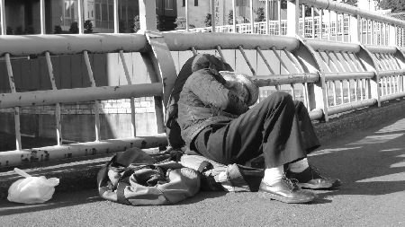 Palermo. Clochard si accampa in strada con i propri cani. Il ...
