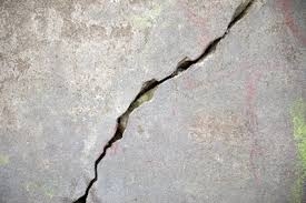 Appalto. Termine annuale per la denunzia di gravi difetti del...