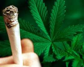 Mette ad essiccare la marijuana nel box di proprietà familiar...