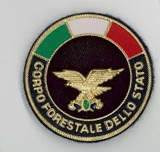 Lo scioglimento del Corpo forestale dello Stato e l’assorbime...
