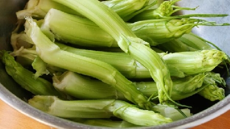 Immessa in commercio una confezione di puntarelle priva di in...