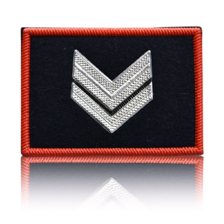 Ricongiungimento familiare in ambito militare e convivenza mo...