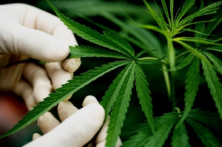 Trapanese trovato con 5.000 dosi di hashish (11 panetti), bil...