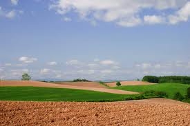 Contratti agrari