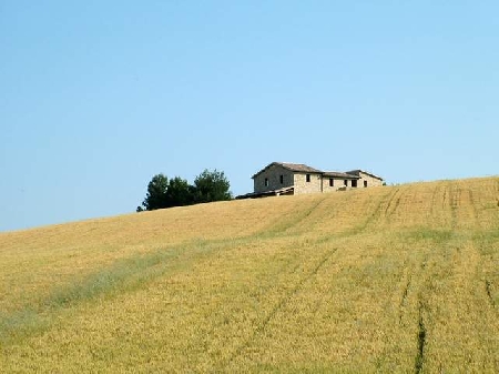 Contratti agrari