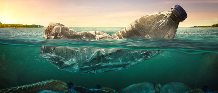 Illeciti amministrativi in materia ambientale – Accertamento ...