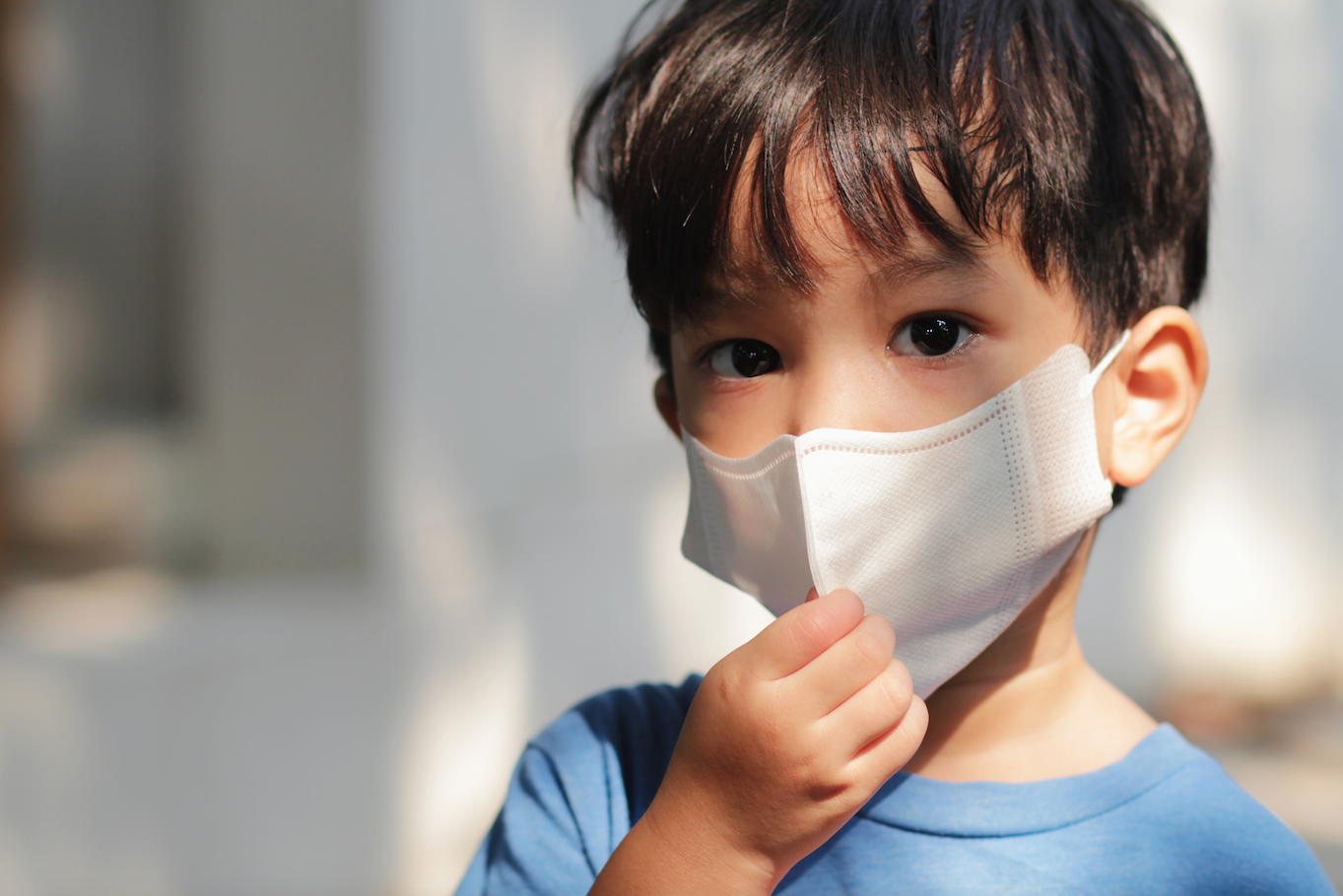 Alunna con problemi respiratori: il Consiglio di Stato accogl...