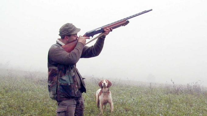 Le guardie zoofile dell'ENPA possono vigilare e accertare...