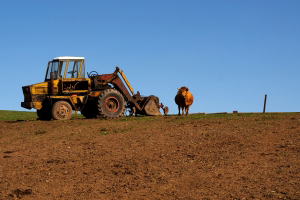 CONTRATTI AGRARI - DIRITTO DI PRELAZIONE E DI RISCATTO: Condi...