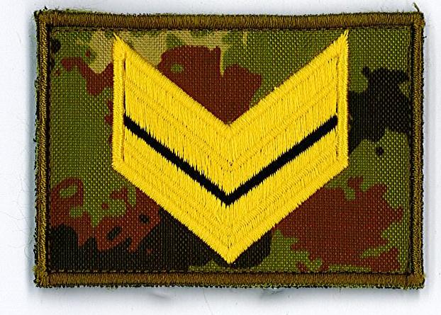 Sergente dell'esercito condannato per vilipendio della Re...