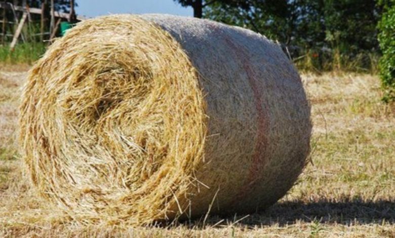 Riscatto agrario - Pagamento del prezzo di acquisto del fondo...