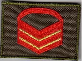 Due Caporali Magg. Capo dell'Esercito Italiano condannati...