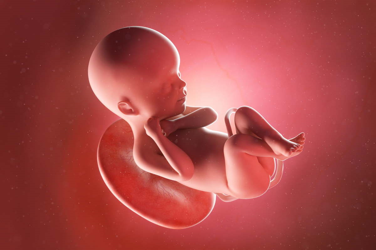 Responsabilità medica. Il medico non informa la gestante sull...