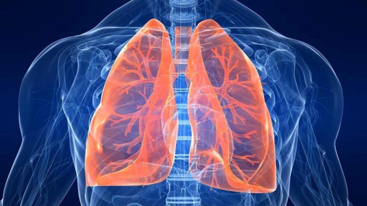Per i decessi causati da mesotelioma pleurico la tesi del c.d...